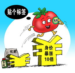 有機食品市場亂象調查 認證花錢就能買，源頭管控亟待加強